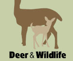 Deer & Wildlife Fencing