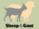 Sheep & Goat Fencing