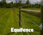 Equifence